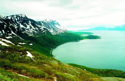 Alta-fjord
